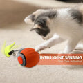 Automatic Rolling Cat Ball Toy with Tail