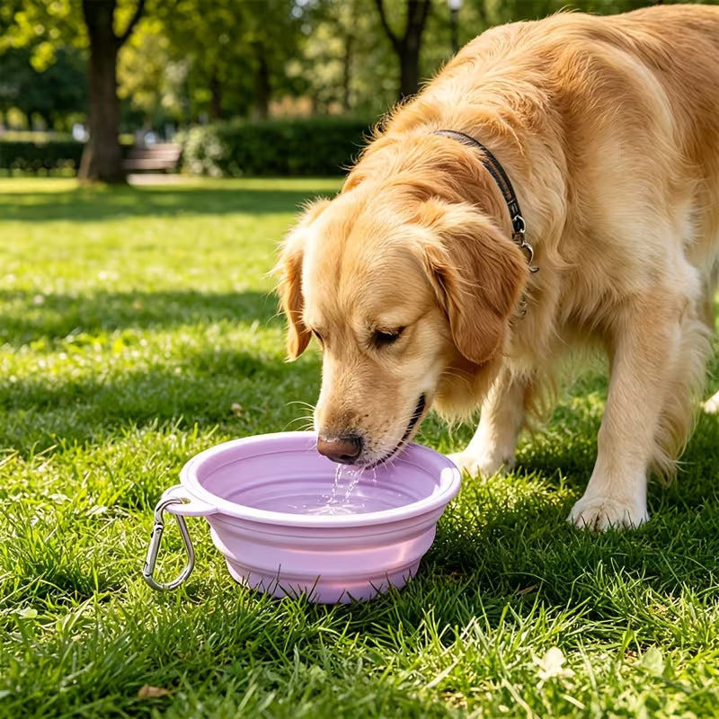 Foldable Silicone Pet Bowl