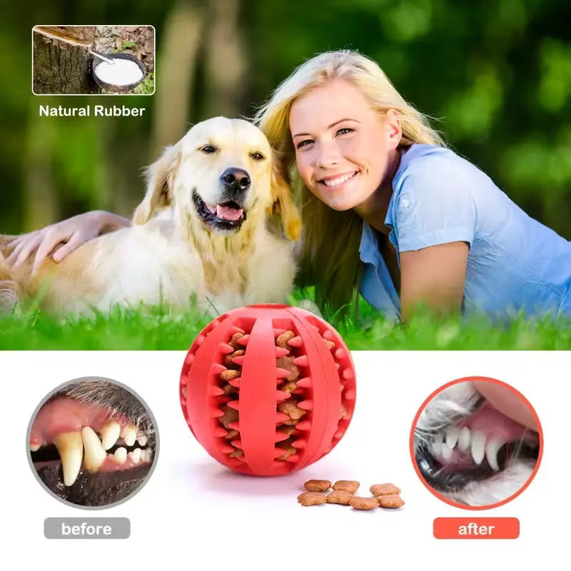 Interactive Gel Dog Ball Toy 2pc