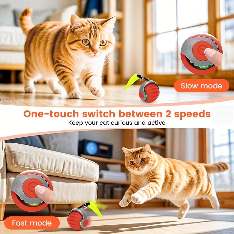 Automatic Rolling Cat Ball Toy with Tail