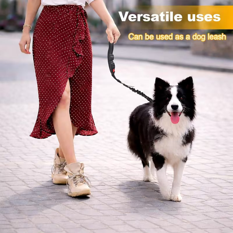 Single Dog Seat Belt for Cars