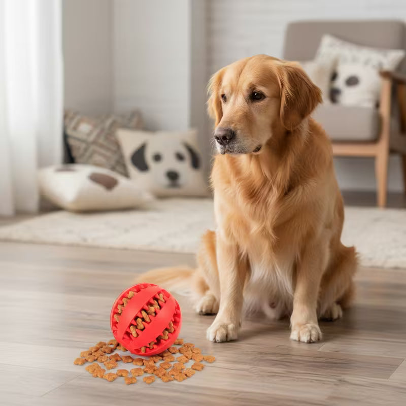Interactive Gel Dog Ball Toy 2pc