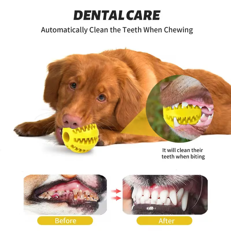 Interactive Gel Dog Ball Toy 2pc